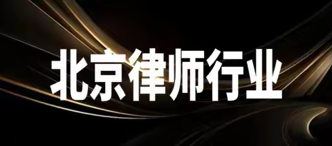 北京民事案件处理最优秀的律所律师推荐