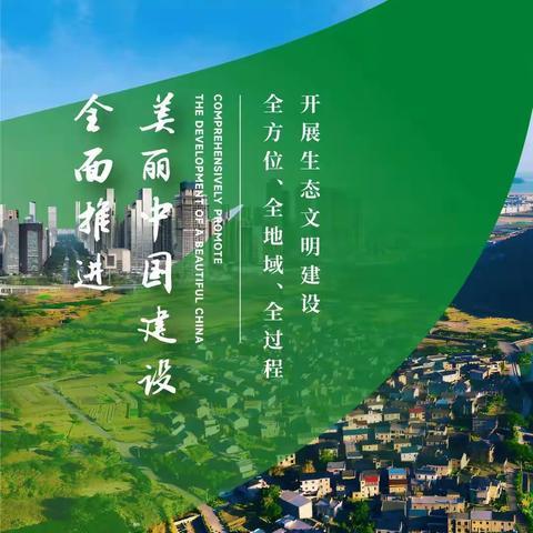 携手共建绿色家园 共创美好未来