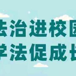 法制教育进校园     遵纪守法铭心间——洛南县华阳思源实验学校法治安全教育大会