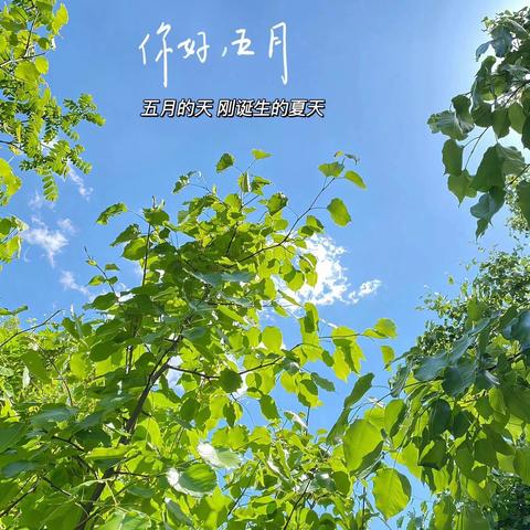 桐林园物管处五月份工作简报