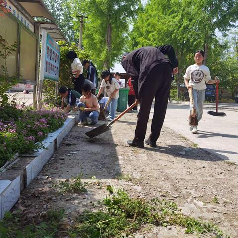 除草护绿净校园，共同劳动享快乐