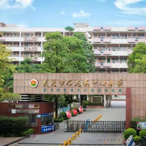 【树人教育.家校携手】石龙镇中心小学-212班家长教育集体课活动