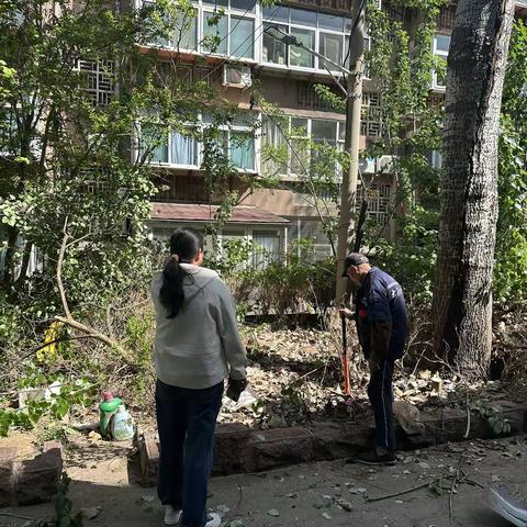 守护社区绿意，美化居民家园