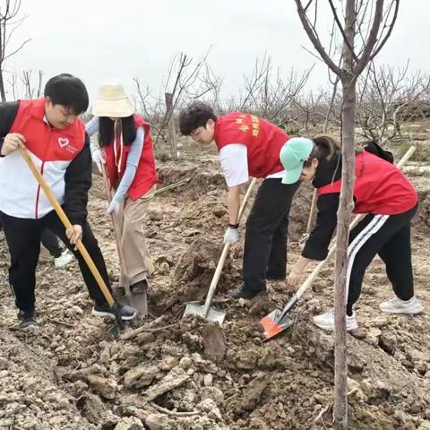 143团妇联开展巾帼志愿春日植树活动