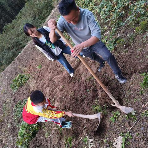 第一次体验农活