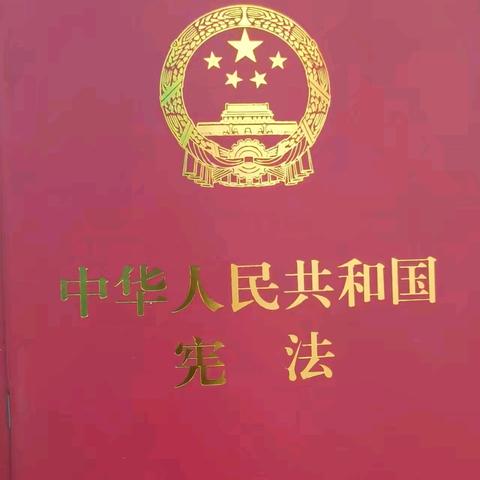 临高县司法局临城司法所法治副校长开展宪法进校园活动