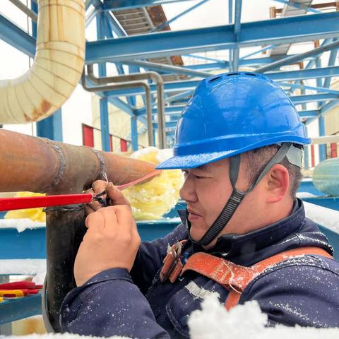 大雪中的坚守:争做电伴热的守护者，确保温暖不“掉线”