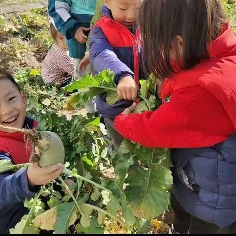 秋天的礼物～