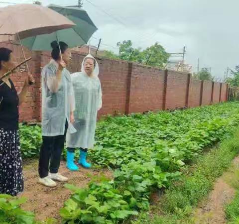 虎南社区积极应对暴雨，排查险情、险房