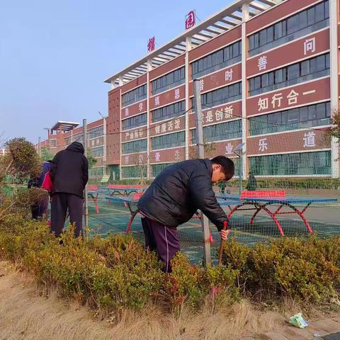 榴园学区学雷锋专题