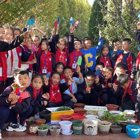 小小菜根水中养，劳动实践种植忙-城西小学三年级学生日常劳动