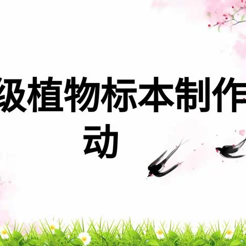 “春生万物 感受自然”——上饶市第二十小学植物标本制作活动