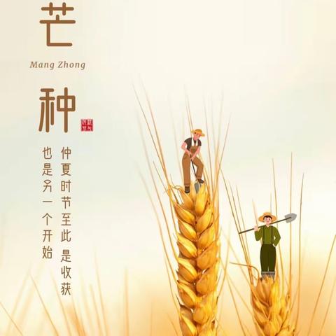 “时雨芒种，四野插秧”      ——世纪东方幼儿园 芒种主题教育活动