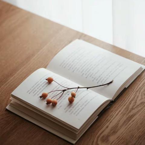 聚势赋能 行稳未来——万柏林中心实验小学《青青子衿成长营》第二阶段第十二期