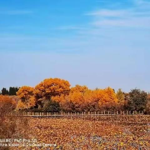 一本书像一艘船，带领我们从狭隘的地方，驶向生活的无限广阔的海洋