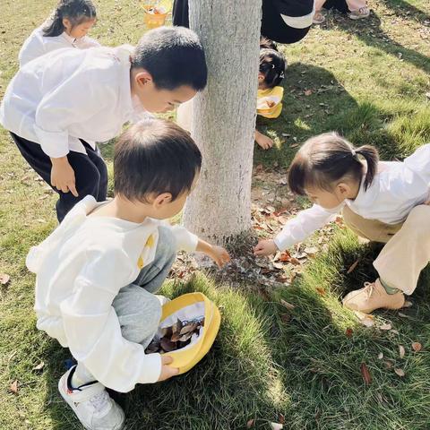 秋日暖阳 一起“趣”玩                         —迪宝幼儿园中一班