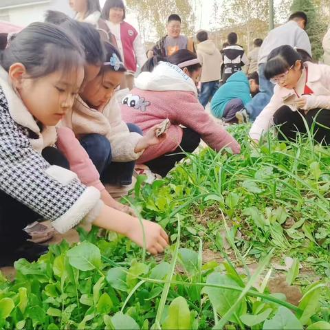 遇见劳动之美，点亮成长之路——沭阳安博银河学校小学部劳动教育实践活动