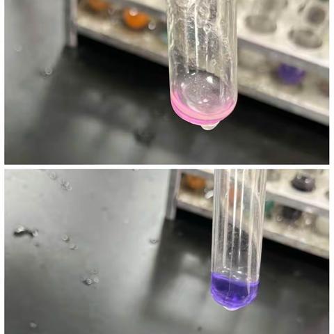 蛋白质的性质