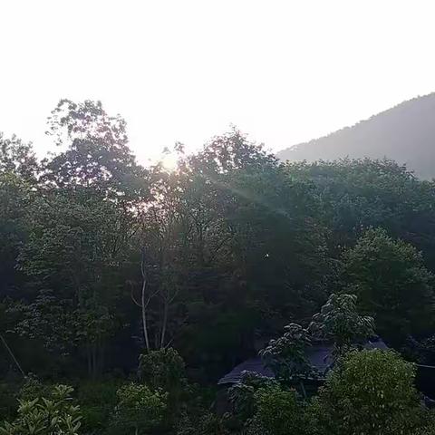 晨雾下的牡丹谷风情