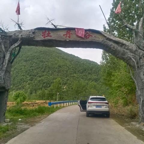 圣垛山下牡丹谷