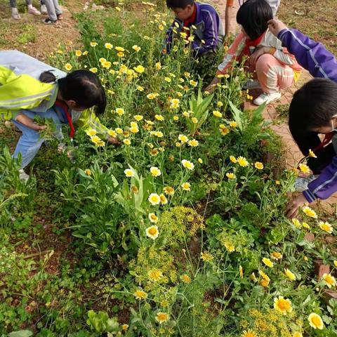 劳动使我们快乐