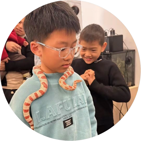 驯“龙”记 ——豹纹守宫饲养观察日记