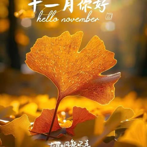 “童”你一起，“幼”享美好！——美吉阳幼儿园十一月份美篇
