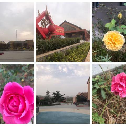 五五研学之旅第三天