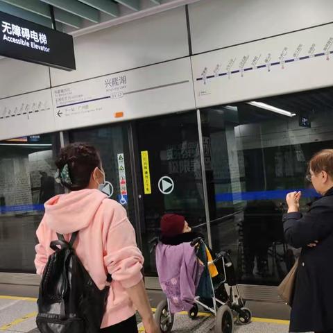 春日里的温暖陪伴