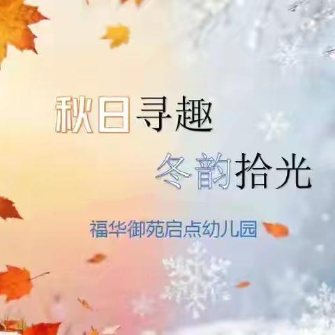 福华御苑启点幼儿园开心一班《秋日寻趣，冬韵时光》主题回顾篇