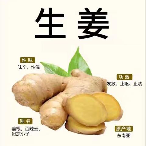 三伏天，补阳气，古法姜疗来出力