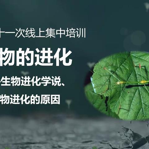 宜兴市乡村定向师范生培育站（中学生物）第二十一次线上培训活动