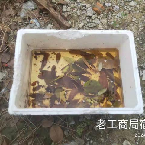 海南春江生物科技有限公司万宁市建成区（B区）2024年03月17日病媒生物防制工作情况