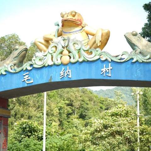 向野而生，森呼吸—五指山毛纳村