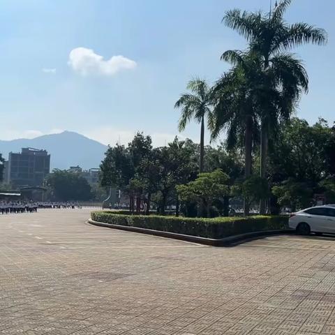 你们就是绚烂，绽放吧！