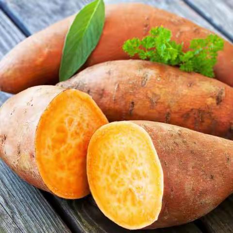 心有所“薯” 风雨无阻