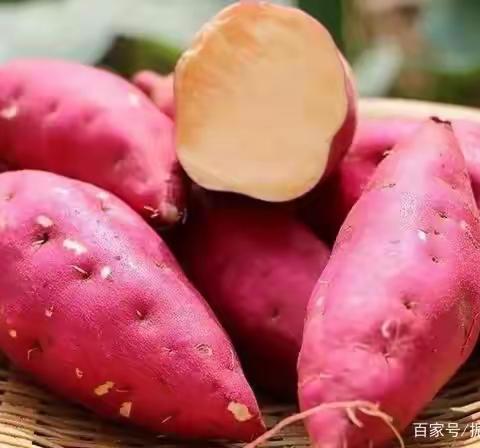 红薯天生有着大自然馈赠的浪漫红色，味道软！糯！香！甜！