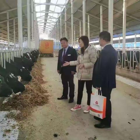 识变、应变、求变，吹响“冬日攻坚”冲锋号