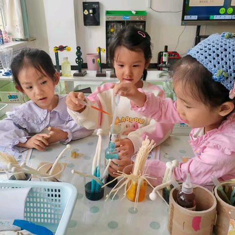 中宁县第三幼儿园大一班第四周生活掠影