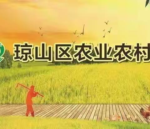 琼山区农业农村局开展农药经营监管及农药安全使用宣传工作