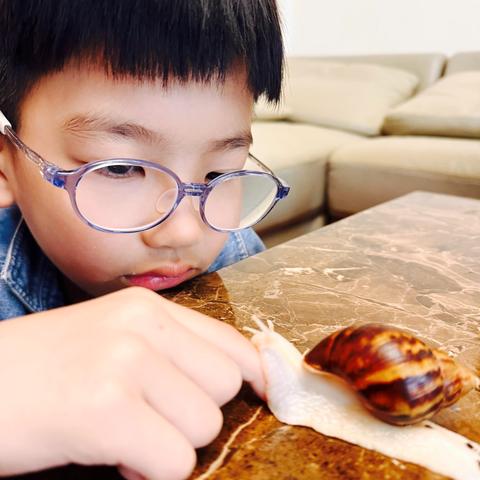 🐌蜗牛的小乐园