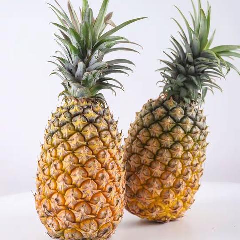 凤梨🍍