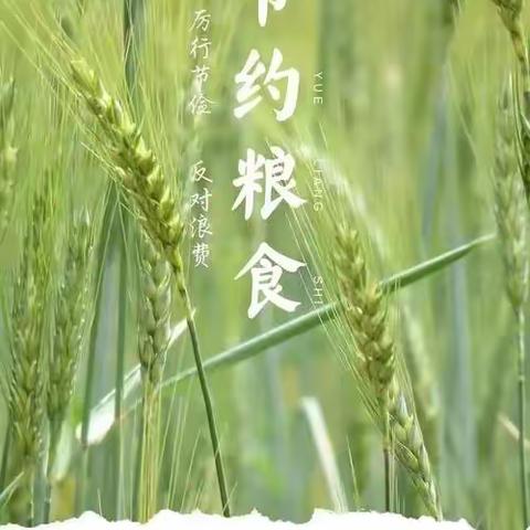 节约粮食