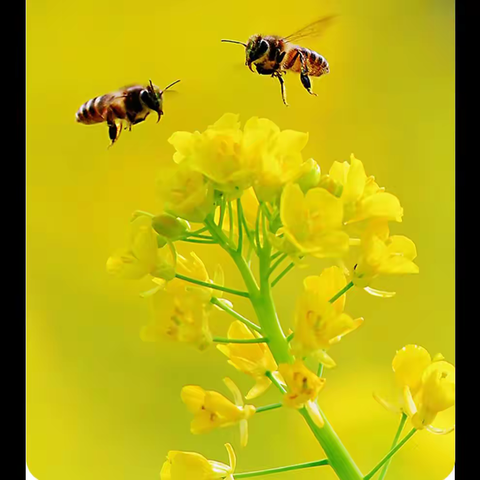 苏霍姆林斯基：给教师的建议100句 | 重温经典