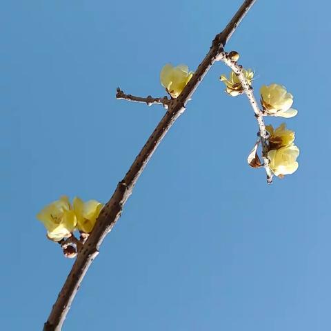 师生关系是一股巨大的教育力量