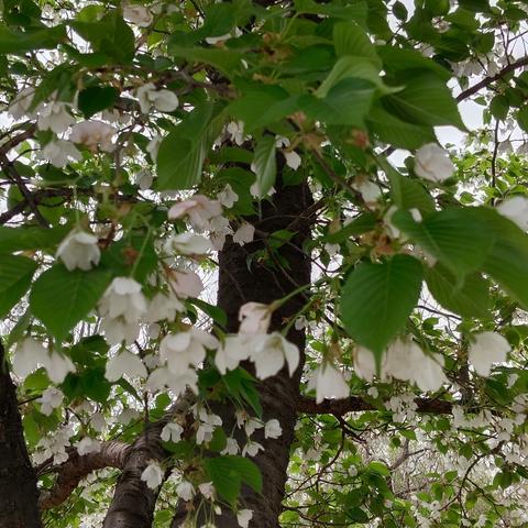 筑牢生命防线，共护青春年华 ——单县罗庄初级中学开展防溺水主题班会纪实