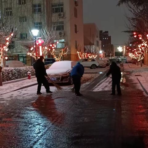 立春我市迎来了第一场大雪，大雪把小区装扮成一身银装素裹，但是美丽如画的雪景给居民也带来了安全隐患。