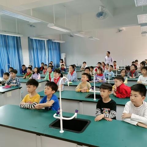 走进科学，探索奥秘——绿地小学小小科学家社团专题汇报