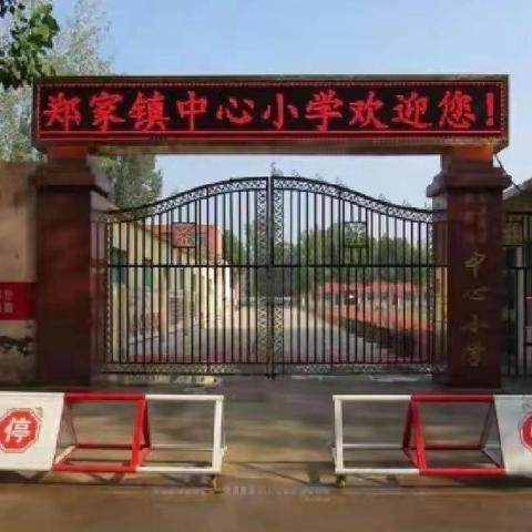 郑家镇中心小学2024年招生简章