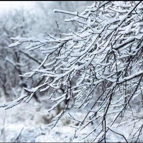 默默守望，静待花开———2.1班滑县师达学校